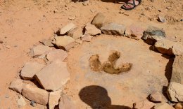 Buckhorn Wash Dinosaur Footprint